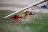 PISCINE A JET - WHIPPET 047